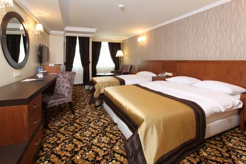 Imagen de la habitación del Hotel Arya Sakarya. Foto 4