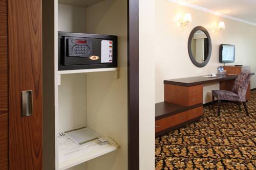 Imagen de la habitación del Hotel Arya Sakarya. Foto 5