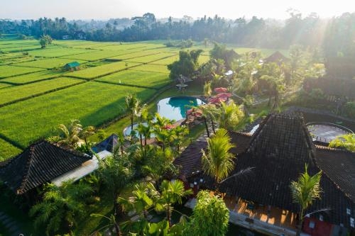 Imagen general del Hotel Arya Villas Ubud. Foto 4