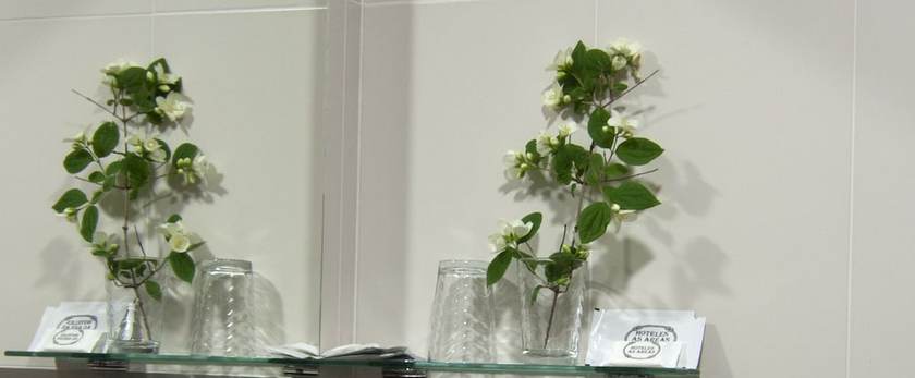 Imagen de la habitación del Hotel As Areas III Playa. Foto 13