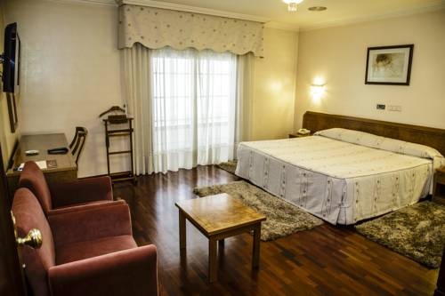 Imagen de la habitación del Hotel As Camelias. Foto 10