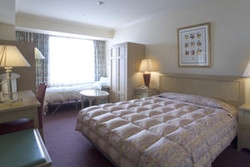 Imagen de la habitación del Hotel Asahikawa Grand Hotel. Foto 7