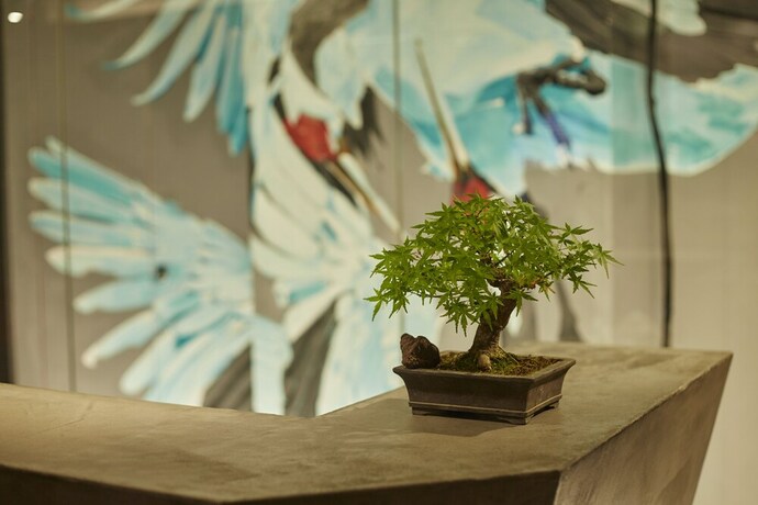 Imagen de los interiores del Hotel Asakusa Kokonokurabu. Foto 34