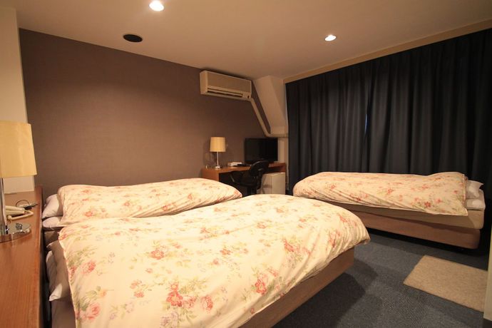 Imagen de la habitación del Hotel Asakusa Town Hotel. Foto 15
