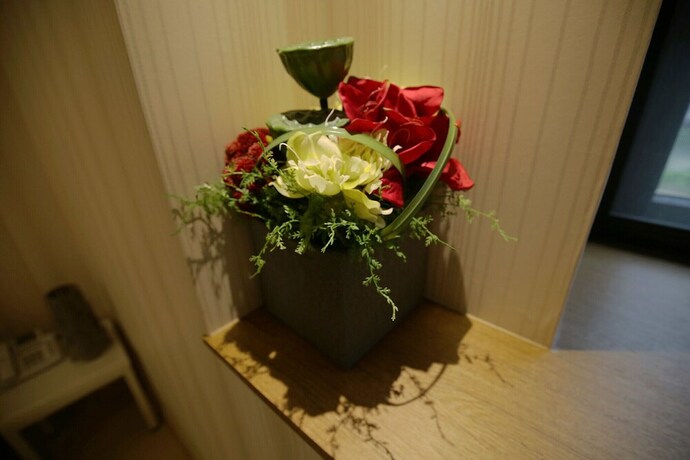 Imagen general del Hotel Asan Cube. Foto 11