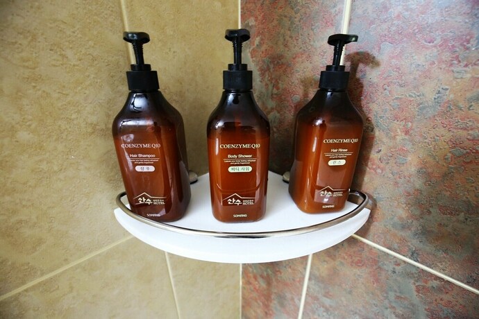 Imagen de los interiores del Hotel Asan. Foto 30