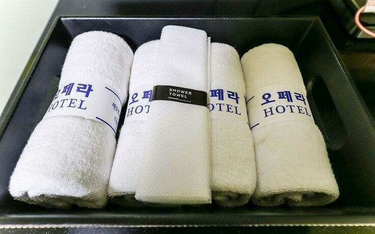 Imagen de la habitación del Hotel Asan Opera. Foto 27