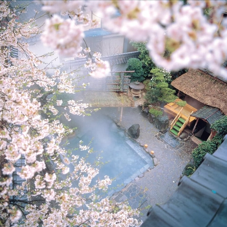 Imagen de la piscina del Hotel Asanoya. Foto 18