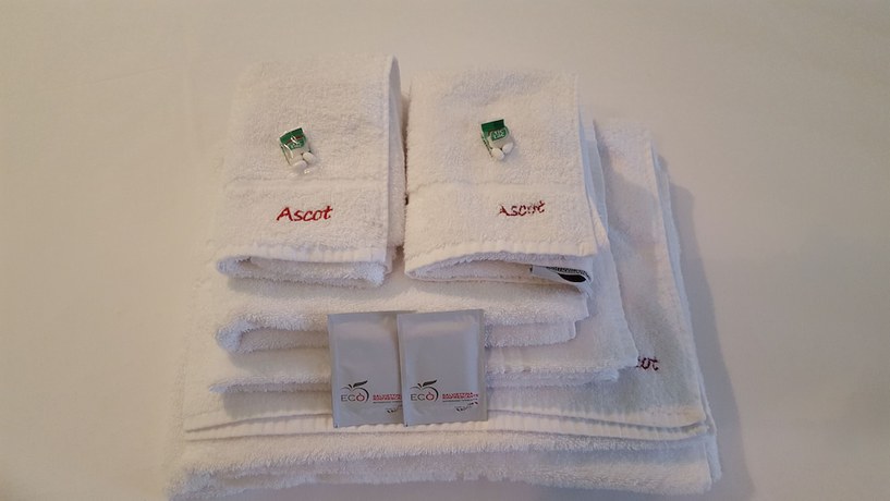 Imagen de la habitación del Hotel Ascot, Montano. Foto 11