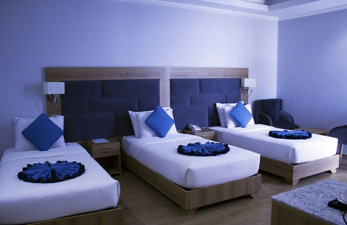 Imagen de la habitación del Hotel Aselefech Merga Hotel And Spa. Foto 18