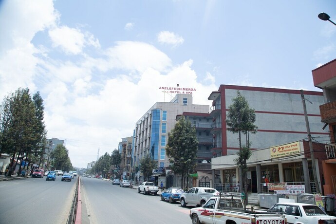 Imagen general del Hotel Aselefech Merga Hotel And Spa. Foto 6