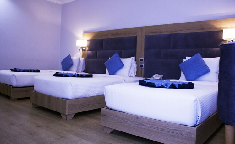 Imagen general del Hotel Aselefech Merga Hotel And Spa. Foto 10