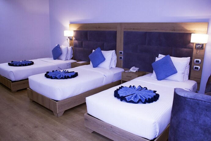 Imagen de la habitación del Hotel Aselefech Merga Hotel And Spa. Foto 20