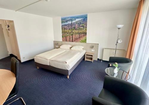 Imagen general del Hotel Asgard, Worms. Foto 9