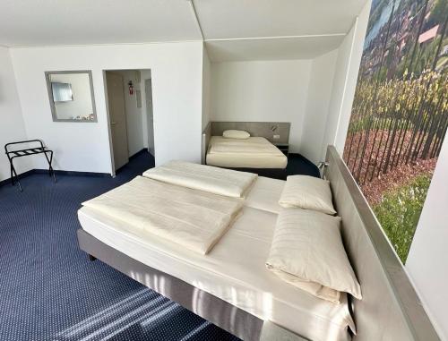 Imagen general del Hotel Asgard, Worms. Foto 12