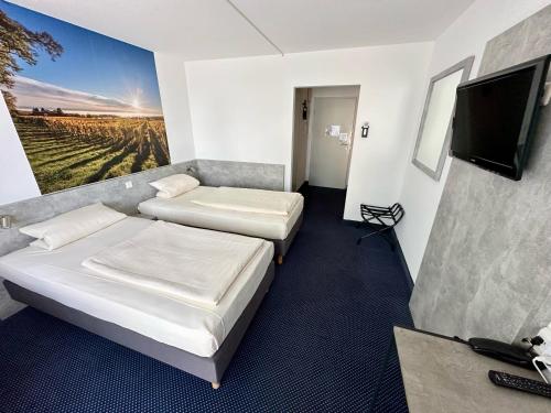 Imagen general del Hotel Asgard, Worms. Foto 14