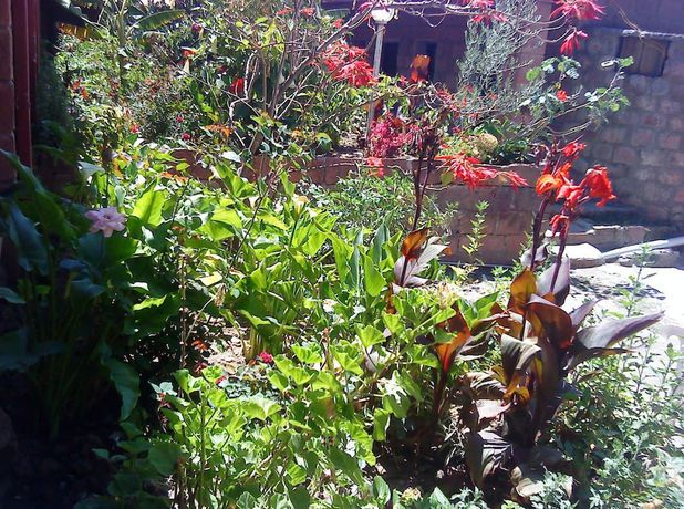 Imagen de los exteriores del Hotel Asheton. Foto 18