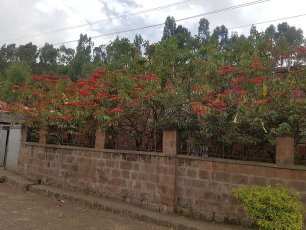 Imagen general del Hotel Asheton. Foto 3