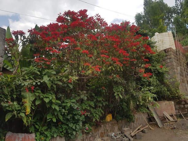 Imagen de los exteriores del Hotel Asheton. Foto 19