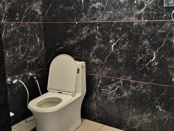 Imagen de la habitación del Hotel Ashirwad, Shri Madhopur. Foto 7