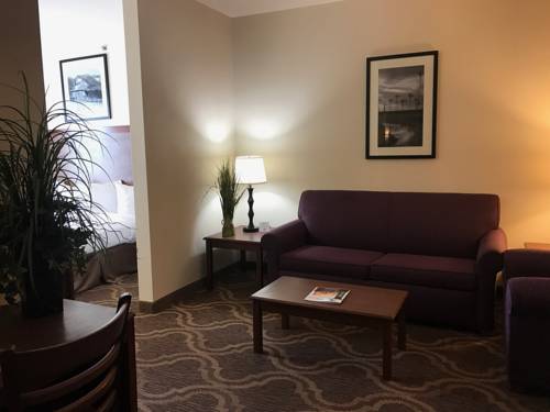 Imagen de la habitación del Hotel Ashmore Inn and Suites. Foto 4