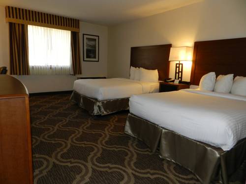 Imagen de la habitación del Hotel Ashmore Inn and Suites. Foto 12