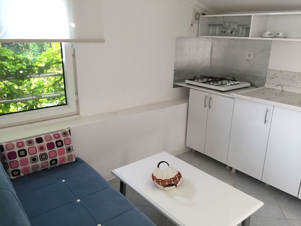 Imagen general del Hotel Asia Apart. Foto 14