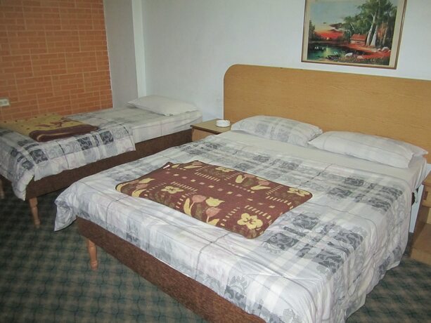 Imagen de la habitación del Hotel Asia. Foto 30