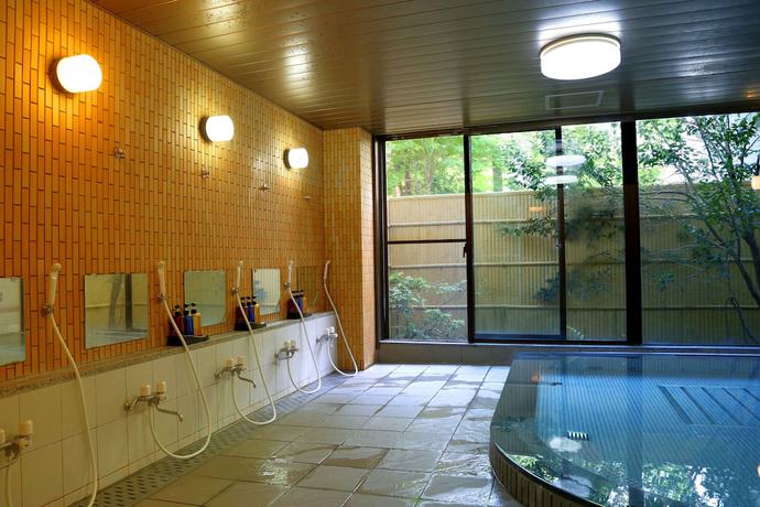 Imagen de la piscina del Hotel Asia Fujisan. Foto 20