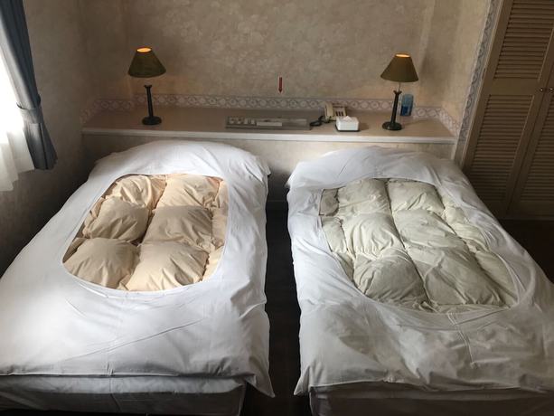 Imagen de la habitación del Hotel Asia Kawaguchiko. Foto 6
