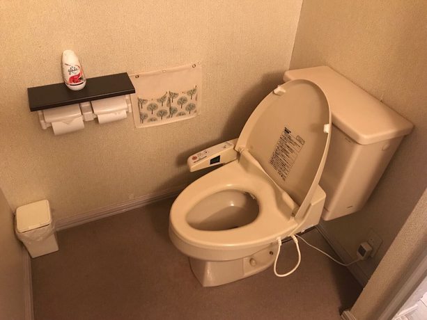 Imagen de la habitación del Hotel Asia Kawaguchiko. Foto 7