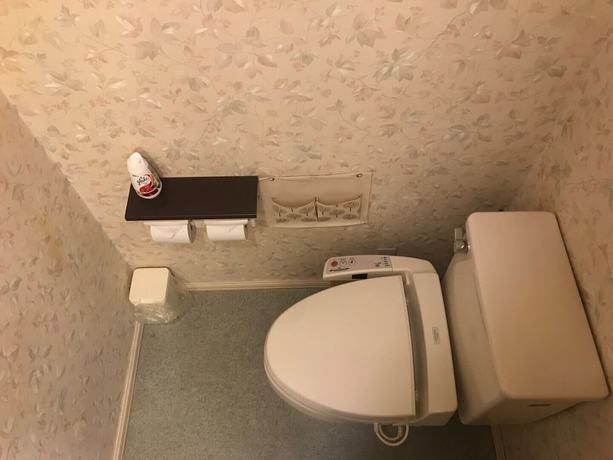 Imagen de la habitación del Hotel Asia Kawaguchiko. Foto 11