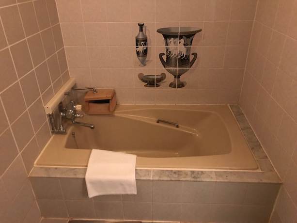 Imagen de la habitación del Hotel Asia Kawaguchiko. Foto 14