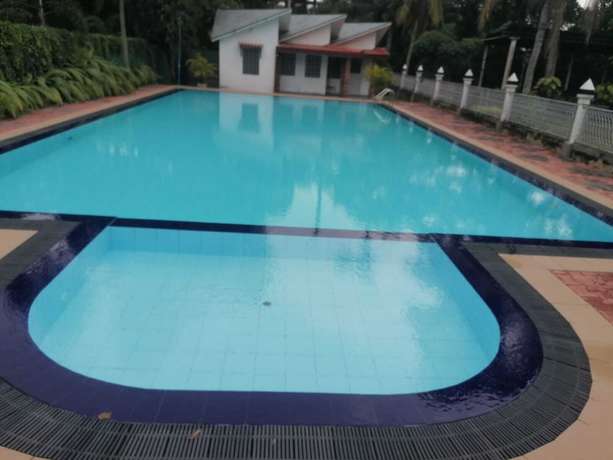 Imagen de la piscina del Hotel Asiri. Foto 8