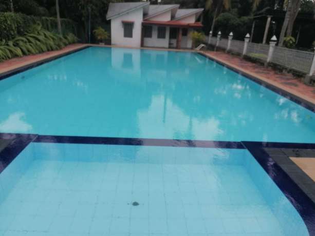 Imagen de la piscina del Hotel Asiri. Foto 11