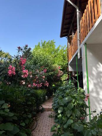 Imagen general del Hotel Asmalı K&ouml;şk Pansiyon. Foto 11