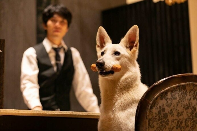 Imagen general del Hotel Aso Daiichikan. Foto 8