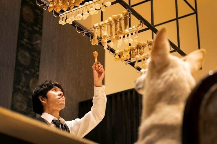 Imagen general del Hotel Aso Daiichikan. Foto 9
