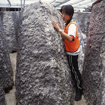 Imagen general del Hotel Aso Farm Land. Foto 4