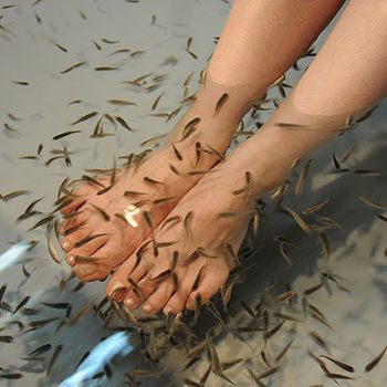 Imagen de la piscina del Hotel Aso Farm Land. Foto 16