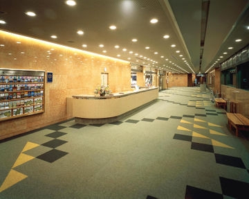 Imagen general del Hotel Aso Resort Grandvrio. Foto 2