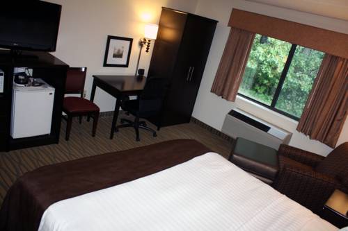 Imagen de la habitación del Hotel Aspen Hotel Rogers. Foto 2
