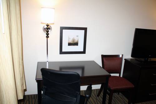 Imagen de la habitación del Hotel Aspen Hotel Rogers. Foto 3