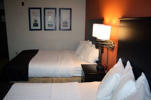 Imagen de la habitación del Hotel Aspen Hotel Rogers. Foto 5