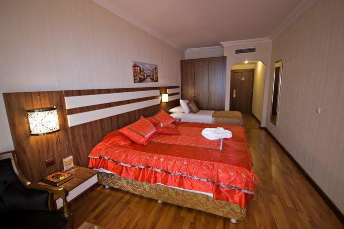 Imagen de la habitación del Hotel Aspen Istanbul. Foto 4