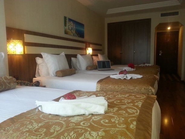 Imagen de la habitación del Hotel Aspen Istanbul. Foto 6