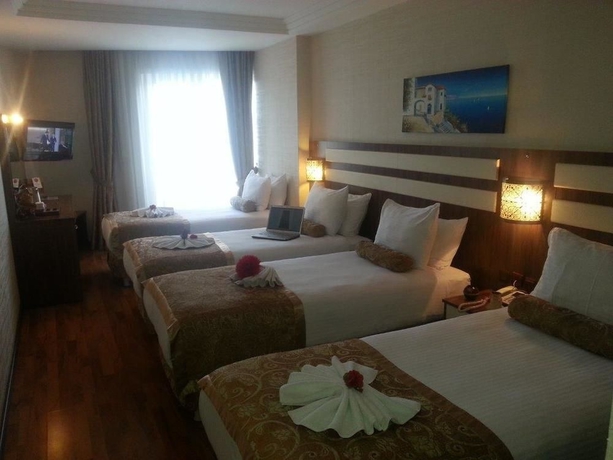 Imagen de la habitación del Hotel Aspen Istanbul. Foto 7