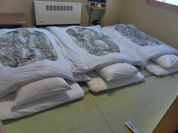 Imagen general del Hotel Aspen Shiga. Foto 9