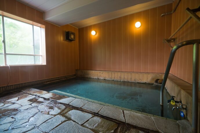Imagen de la piscina del Hotel Aspen Shiga. Foto 31