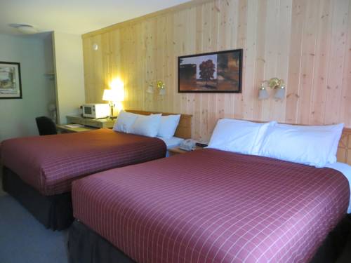 Imagen de la habitación del Hotel Aspen Village Inn. Foto 6